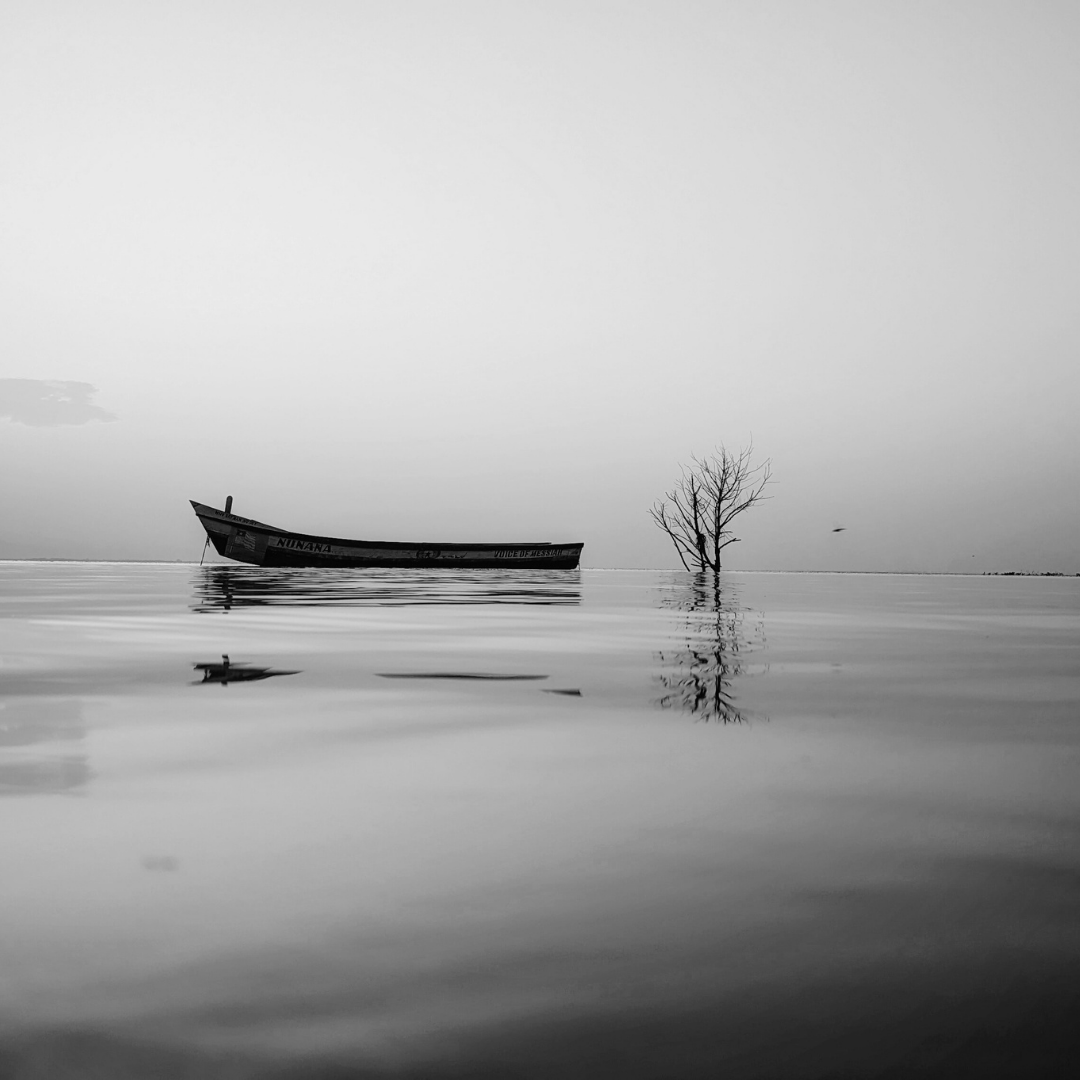 The Stillness That Isn’t Empty